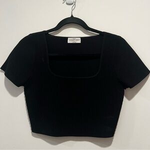 Aritzia Babaton sculpt knit crop tshirt